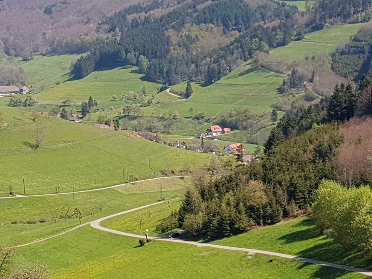 Ferienwohnung Am Siegelbaechle Mit E-Bikes Vermietung Gutach im Breisgau Extérieur photo